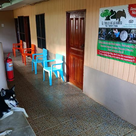 Martinas Place Drake Bay Ngoại thất bức ảnh