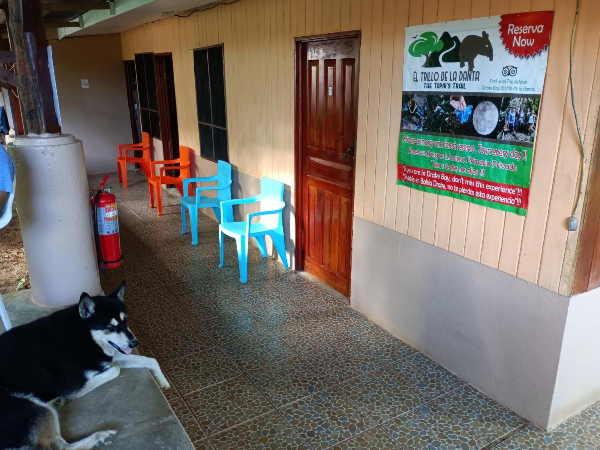 Martinas Place Drake Bay Ngoại thất bức ảnh