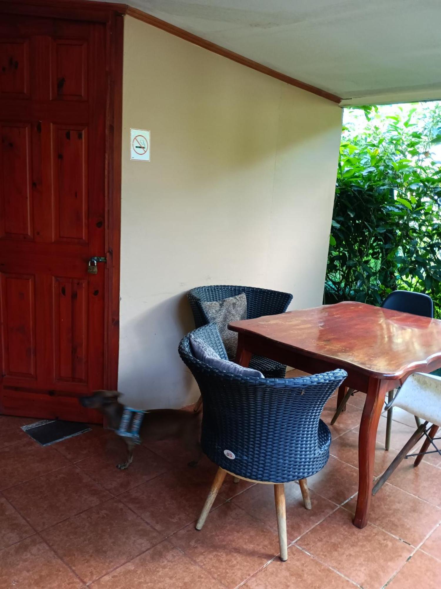 Martinas Place Drake Bay Ngoại thất bức ảnh