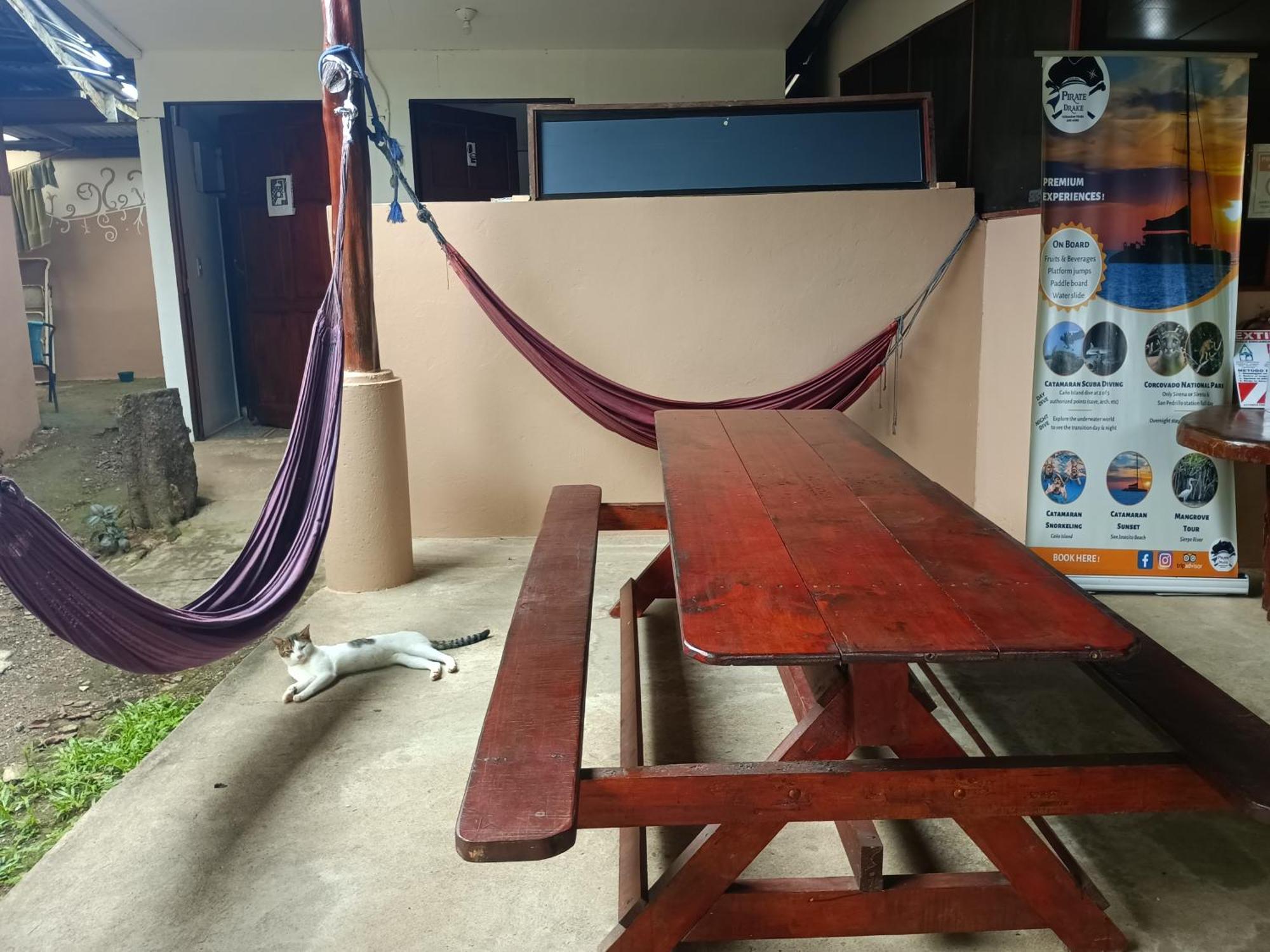 Martinas Place Drake Bay Ngoại thất bức ảnh