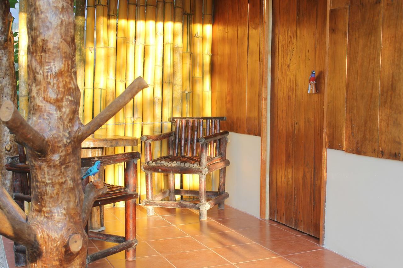Martinas Place Drake Bay Ngoại thất bức ảnh